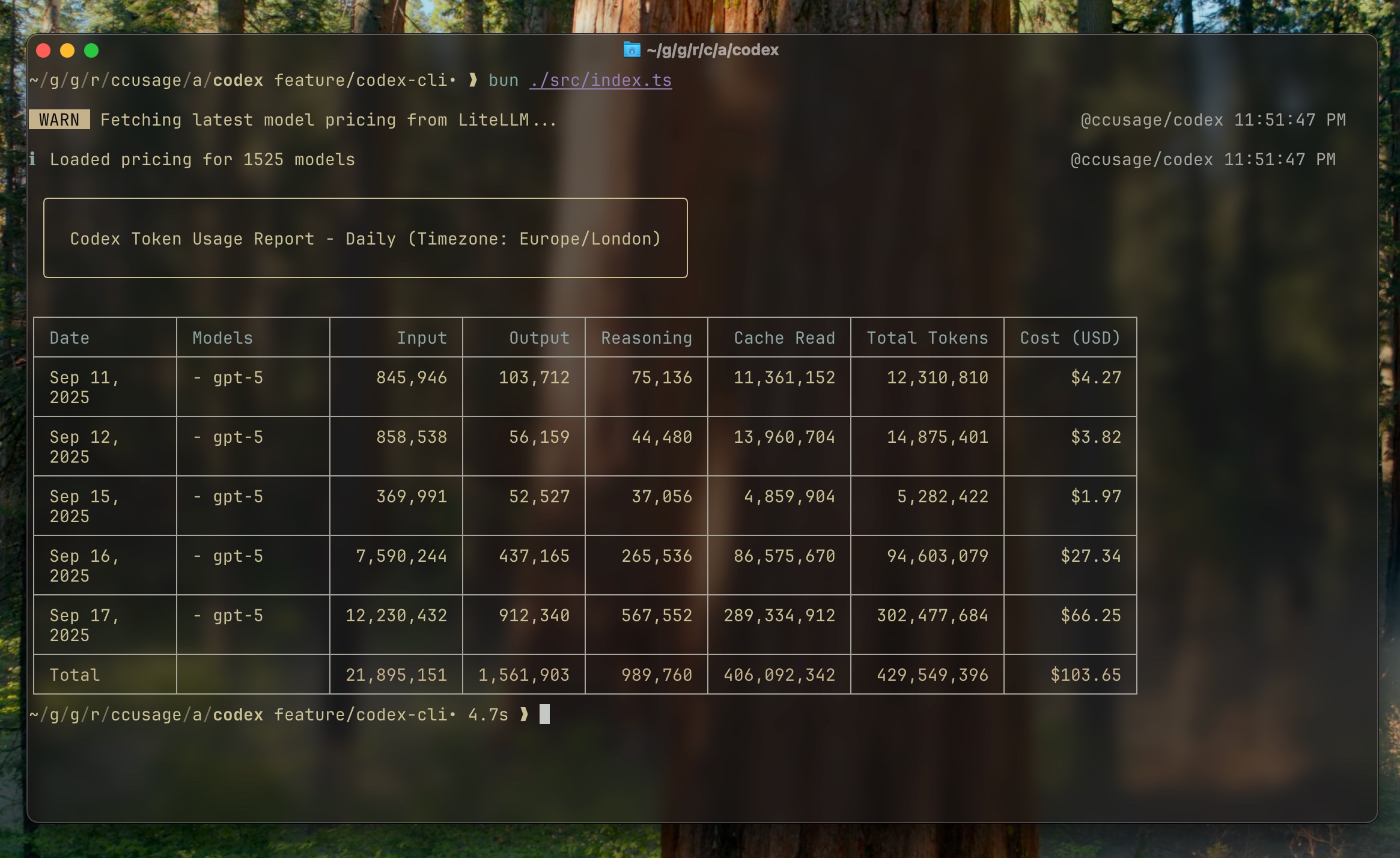 Codex CLI monthly report